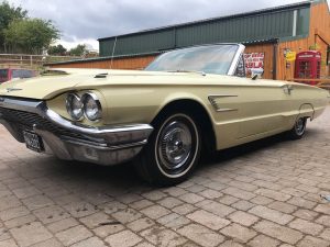 38668259_10157253978665348_4291970327950393344_n